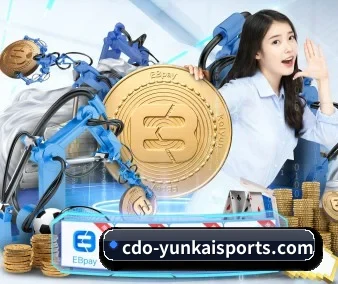 持续创新